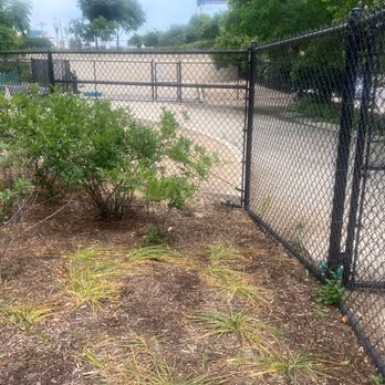 Walsh Dog Friendly Area photo 1
